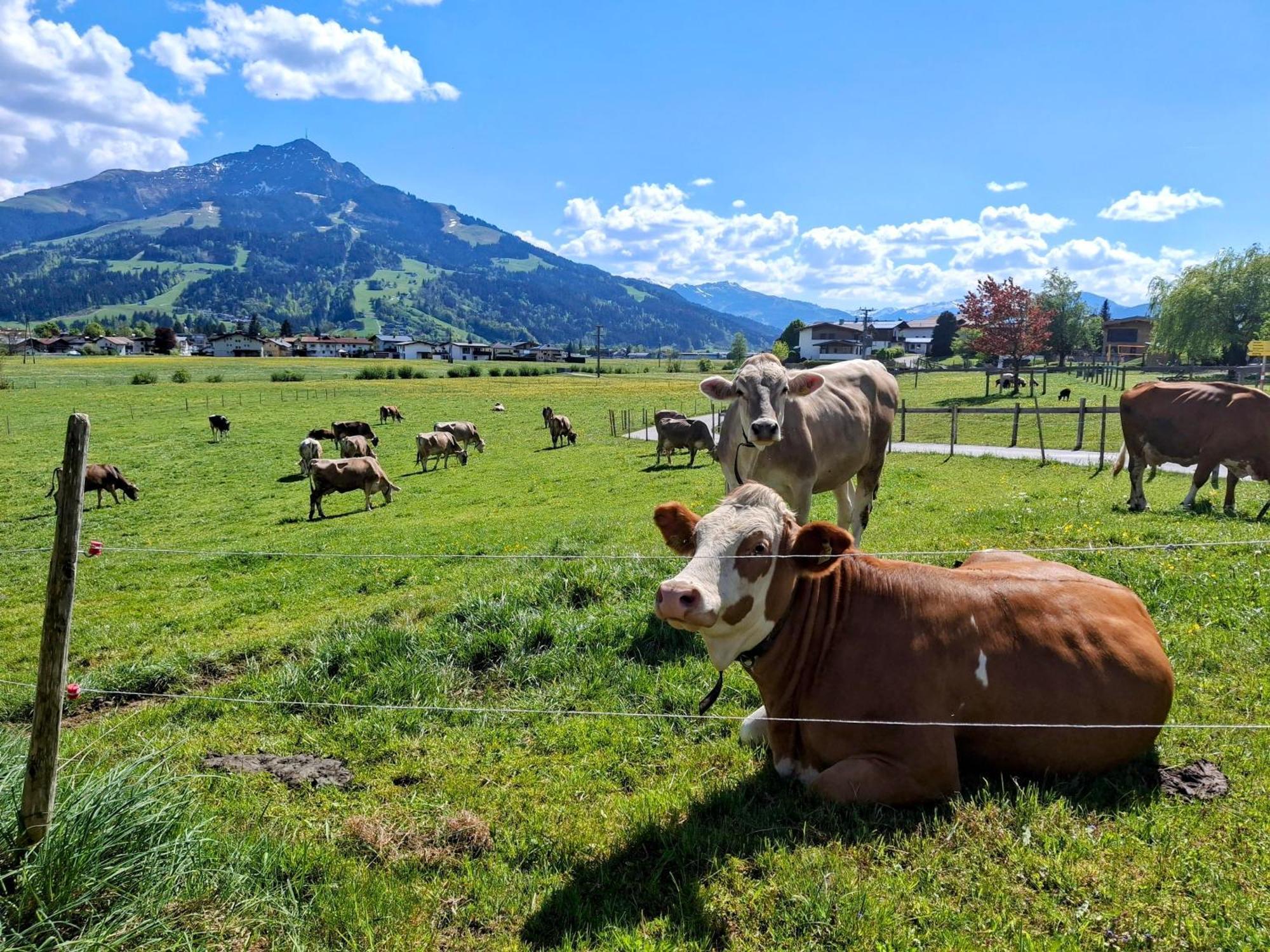 Lampererhof Villa Sankt Johann in Tirol Luaran gambar