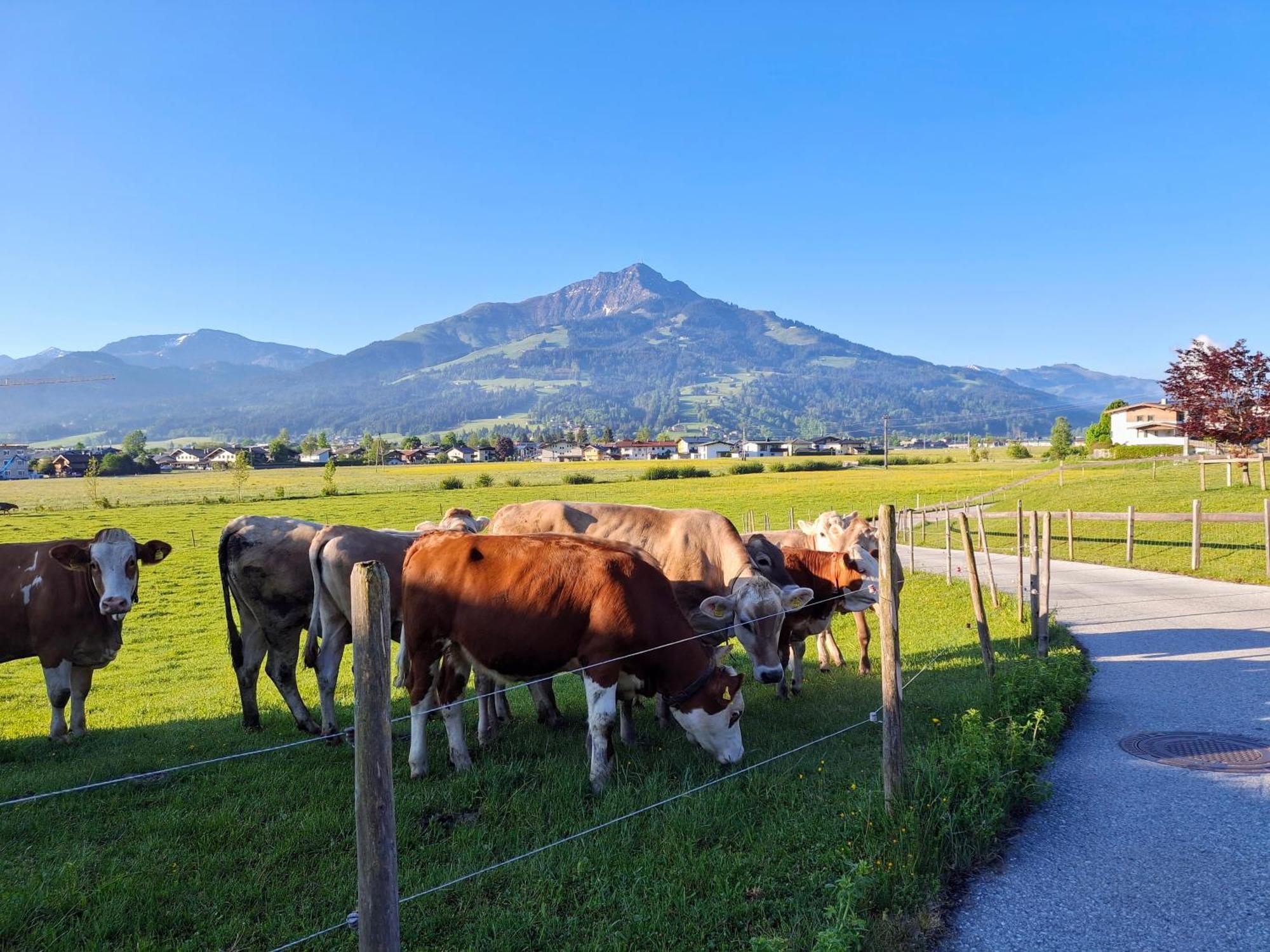 Lampererhof Villa Sankt Johann in Tirol Luaran gambar